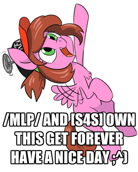 Size: 532x666 | Tagged: artist needed, safe, derpibooru import, oc, oc:keksandra, unofficial characters only, pegasus, pony, /mlp/, /s4s/, 4chan, :^), chest fluff, cute, fail, female, filly, flapping, flying, get, hat, index get, kek, looking up, meta, ocbetes, open mouth, palindrome get, pointing, propeller hat, s4s tan, simple background, smiling, solo, text, top kek, top lel, transparent background, you tried