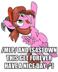 Size: 532x666 | Tagged: artist needed, safe, derpibooru import, oc, oc:keksandra, unofficial characters only, pegasus, pony, /mlp/, /s4s/, 4chan, :^), chest fluff, cute, fail, female, filly, flapping, flying, get, hat, index get, kek, looking up, meta, ocbetes, open mouth, palindrome get, pointing, propeller hat, s4s tan, simple background, smiling, solo, text, top kek, top lel, transparent background, you tried