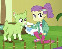 Size: 1037x827 | Tagged: safe, derpibooru import, screencap, lily pad (equestria girls), goat, sheep, equestria girls, equestria girls series, spring breakdown, spoiler:eqg series (season 2), cropped, female, tiny ewes