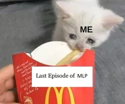 Size: 719x599 | Tagged: barely pony related, caption, cat, crying, crying cat, cute, derpibooru import, end of ponies, exploitable meme, food, french fries, image macro, irl, mcdonald's, meme, photo, sad, safe, text