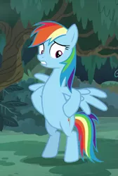 Size: 517x770 | Tagged: safe, derpibooru import, screencap, rainbow dash, ponified, pony, equestria girls, equestria girls series, spring breakdown, spoiler:eqg series (season 2), bipedal, cropped, equestria girls ponified, hooves on hips, spread wings, wings