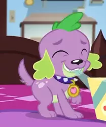 Size: 386x461 | Tagged: safe, derpibooru import, screencap, spike, spike the regular dog, dog, equestria girls, equestria girls series, reboxing with spike!, spoiler:eqg series (season 2), cropped, eyes closed, male, paws, smiling, spike's dog collar, tail