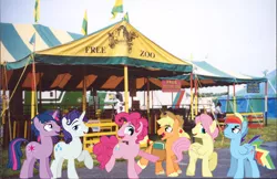 Size: 905x587 | Tagged: safe, artist:trotsworth, derpibooru import, applejack, fluttershy, pinkie pie, rainbow dash, rarity, twilight sparkle, pony, applejack (male), book, bubble berry, butterscotch, dusk shine, elusive, irl, male six, mane six, petting zoo, photo, ponies in real life, rainbow blitz, rule 63