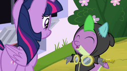 Size: 826x464 | Tagged: safe, derpibooru import, screencap, fluttershy, rainbow dash, rarity, spike, twilight sparkle, twilight sparkle (alicorn), alicorn, dragon, pony, sparkle's seven, animated, clothes, costume, dangerous mission outfit, denied, gif, goggles, hoodie, poor spike, winged spike