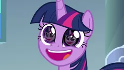 Size: 1920x1080 | Tagged: safe, derpibooru import, edit, edited screencap, screencap, twilight sparkle, twilight sparkle (alicorn), alicorn, pony, sparkle's seven, droste effect, eye reflection, faic, forever, fractal, narcissism, pudding face, recursion, reflection, smiling, solo