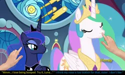 Size: 1920x1148 | Tagged: safe, derpibooru import, edit, edited screencap, screencap, princess celestia, princess luna, alicorn, pony, sparkle's seven, boop, boop edit, caption, cute, discovery family logo, disembodied hand, duo focus, hand, imminent boop, meta, non-consensual booping, offscreen character, royal sisters, silly, silly pony, surprised, text