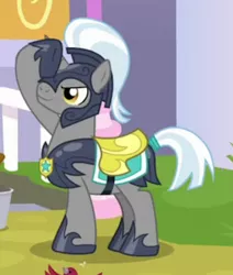 Size: 400x472 | Tagged: safe, derpibooru import, screencap, pony, unicorn, sparkle's seven, armor, helmet, hoof shoes, male, night guard, saddle, salute, solo, stallion, tack, tail wrap