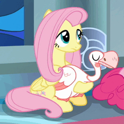 Size: 545x545 | Tagged: safe, derpibooru import, screencap, fluttershy, pinkie pie, bird, earth pony, goose, pegasus, pony, sparkle's seven, animal, animated, blinking, canterlot castle, cropped, cute, eyes closed, female, folded wings, loop, mare, perfect loop, petting, shyabetes, sitting, solo focus, wings