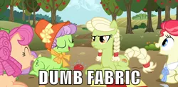 Size: 500x245 | Tagged: angry, apple family reunion, apple rose, auntie applesauce, caption, derpibooru import, dumb fabric, eyes closed, granny smith, hat, image macro, laughing, meme, safe, screencap, sew 'n sow, text, young apple rose, younger, young granny smith