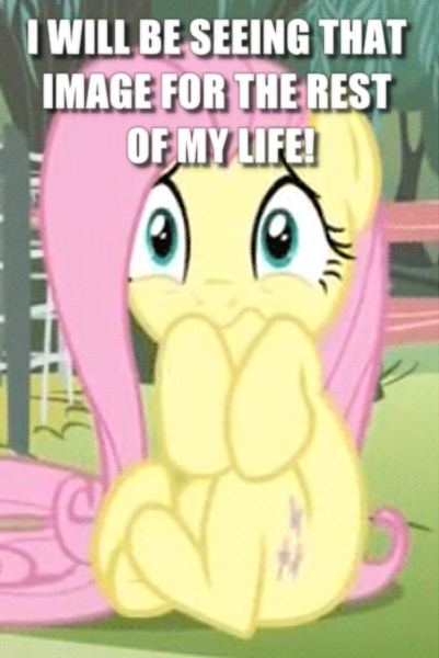 Size: 474x709 | Tagged: safe, derpibooru import, edit, edited screencap, screencap, fluttershy, pegasus, pony, filli vanilli, cannot unsee, caption, cropped, cute, female, i've seen some shit, image macro, mare, reaction image, scared, scarred for life, shyabetes, solo, text, traumatized, what has been seen