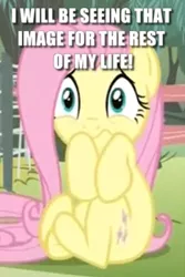 Size: 474x709 | Tagged: safe, derpibooru import, edit, edited screencap, screencap, fluttershy, pegasus, pony, filli vanilli, cannot unsee, caption, cropped, cute, female, i've seen some shit, image macro, mare, reaction image, scared, scarred for life, shyabetes, solo, text, traumatized, what has been seen