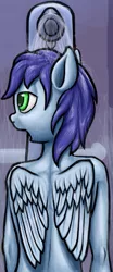 Size: 329x790 | Tagged: safe, artist:exedrus, derpibooru import, edit, soarin', pegasus, pony, fanfic, cropped, cropped porn, fanfic art, fanfic cover, male, open mouth, shower, solo, stallion, wings