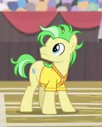 Size: 318x396 | Tagged: safe, derpibooru import, screencap, saturn (character), earth pony, pony, common ground, background pony, buckball uniform, clothes, cropped, jersey, las pegasus resident, male, solo, stallion