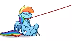 Size: 4000x2300 | Tagged: safe, artist:witchtaunter, derpibooru import, rainbow dash, pegasus, pony, :<, :i, angry, cheek fluff, chest fluff, collar, colored wings, colored wingtips, cross-popping veins, cute, dashabetes, do not want, dragging, ear fluff, female, floppy ears, fluffy, glare, horses doing horse things, leash, leg fluff, madorable, mare, no catchlights, no pupils, pony pet, puffy cheeks, pulling, shivering, shoulder fluff, simple background, sitting, solo, spread wings, stubborn, two toned wings, underhoof, white background, wing fluff, wings