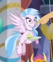 Size: 448x528 | Tagged: boop, boop edit, classical hippogriff, cropped, derpibooru import, edit, edited screencap, female, finger, hand, hippogriff, puffy cheeks, safe, screencap, she's all yak, silverstream, smolder, solo focus