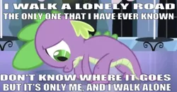 Size: 665x347 | Tagged: boulevard of broken dreams, crystal empire, depressing, derpibooru import, edit, edited screencap, editor:undeadponysoldier, emotional, equestria games (episode), green day, head down, lonely, lyrics, male, poor spike, sad, safe, screencap, solo, song reference, spike, text, walking