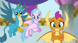 Size: 1920x1080 | Tagged: safe, derpibooru import, screencap, gallus, silverstream, smolder, classical hippogriff, dragon, gryphon, hippogriff, she's all yak, crossed arms, dragoness, female, flying, looking at you, male, trio