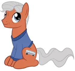 Size: 950x900 | Tagged: safe, artist:sixes&sevens, derpibooru import, ponified, earth pony, pony, clothes, doctor who, graham o'brien, male, simple background, solo, sweater, transparent background