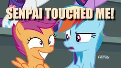 Size: 1280x720 | Tagged: alicorn, caption, derpibooru import, discovery family logo, duo focus, edit, edited screencap, image macro, rainbow dash, rarity, safe, scootaloo, screencap, senpai, text, the washouts (episode), this will end in jail time, twilight sparkle, twilight sparkle (alicorn)