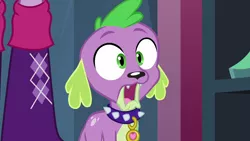 Size: 1920x1080 | Tagged: safe, derpibooru import, screencap, spike, twilight sparkle, dog, equestria girls, equestria girls (movie), faic, jaw drop, male, offscreen character, reaction image, shocked, spike the dog, spike's dog collar