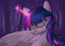 Size: 2898x2070 | Tagged: safe, artist:aoiyui, derpibooru import, twilight sparkle, twilight sparkle (alicorn), alicorn, pony, crying, eyes closed, glowing horn, horn, princess, solo