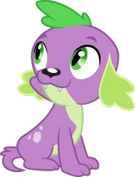 Size: 1000x1317 | Tagged: safe, artist:bubblestormx, derpibooru import, edit, editor:slayerbvc, vector edit, spike, dog, equestria girls, equestria girls (movie), accessory-less edit, looking up, missing accessory, simple background, sitting, solo, spike the dog, transparent background, vector