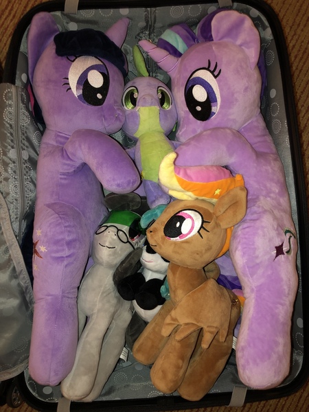 Size: 3024x4032 | Tagged: derpibooru import, everfree northwest, everfree northwest 2019, irl, marina, merchandise, oc, oc:front page, oc:marina (efnw), oc:mocha sunrise, photo, safe, spike, starlight glimmer, twilight sparkle