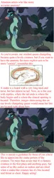 Size: 960x3160 | Tagged: anatomy, cloven hooves, comic, cropped, derpibooru import, disguise, disguised changeling, edit, edited screencap, female, frenemies (episode), ophiotaurus, queen chrysalis, screencap, snake, solo, suggestive, text, the more you know, wall of text