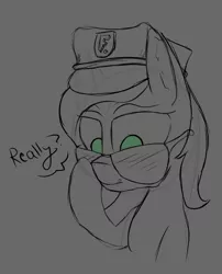 Size: 1624x2006 | Tagged: safe, artist:enragement filly, derpibooru import, oc, oc:anonfilly, pony, female, filly, police hat, really?, sunglasses