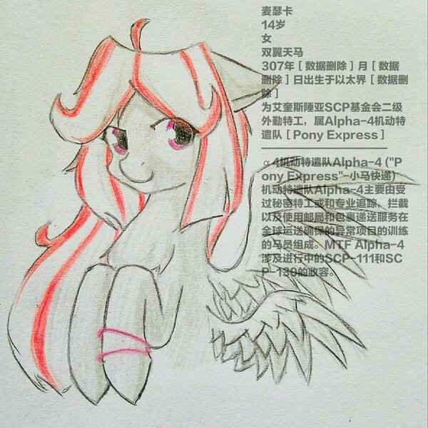 Size: 2000x2000 | Tagged: safe, artist:龙宠, derpibooru import, oc, oc:mascara, unofficial characters only, pegasus, pony, chinese text, double wings, introduction, mobile task force, multiple wings, scp foundation, solo, text, wings