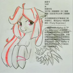 Size: 2000x2000 | Tagged: safe, artist:龙宠, derpibooru import, oc, oc:mascara, unofficial characters only, pegasus, pony, chinese text, double wings, introduction, mobile task force, multiple wings, scp foundation, solo, text, wings