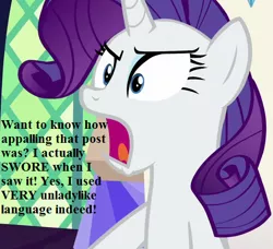 Size: 483x441 | Tagged: safe, derpibooru import, edit, edited screencap, screencap, rarity, pony, sparkle's seven, angry, cropped, dialogue, ooc is serious business, reaction image