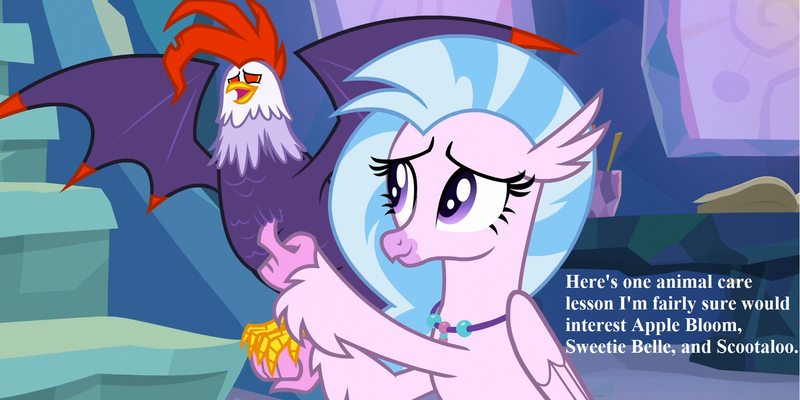 Size: 1810x905 | Tagged: classical hippogriff, cockatrice, cropped, cute, derpibooru import, diabedith, dialogue, diastreamies, edit, edited screencap, edith (cockatrice), female, hippogriff, implied apple bloom, implied scootaloo, implied sweetie belle, jewelry, necklace, red eyes, safe, screencap, silverstream, student counsel, this will end in death, this will end in tears, this will end in tears and/or death, tickling, treehouse of harmony