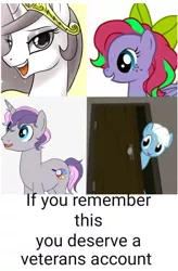 Size: 1969x3000 | Tagged: ask princess molestia, breeze rider, brony, brony history, derpibooru import, dusk's dawn, exploitable meme, meme, oc, oc:breeze rider, oc:digibrony, oc:kimi sparkle, princess celestia, princess molestia, safe, text, veterans account meme