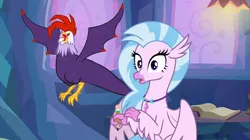 Size: 2100x1180 | Tagged: classical hippogriff, cockatrice, derpibooru import, duo, edith (cockatrice), female, hippogriff, jewelry, necklace, red eyes, safe, screencap, silverstream, spread wings, student counsel, wings