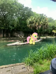 Size: 3024x4032 | Tagged: safe, derpibooru import, photographer:undeadponysoldier, fluttershy, butterfly, pegasus, pony, animal kingdom, augmented reality, disney world, disney's animal kingdom, female, florida, gameloft, irl, kilimanjaro safaris, mare, orlando, photo, ponies in real life, pose, safari ride, water