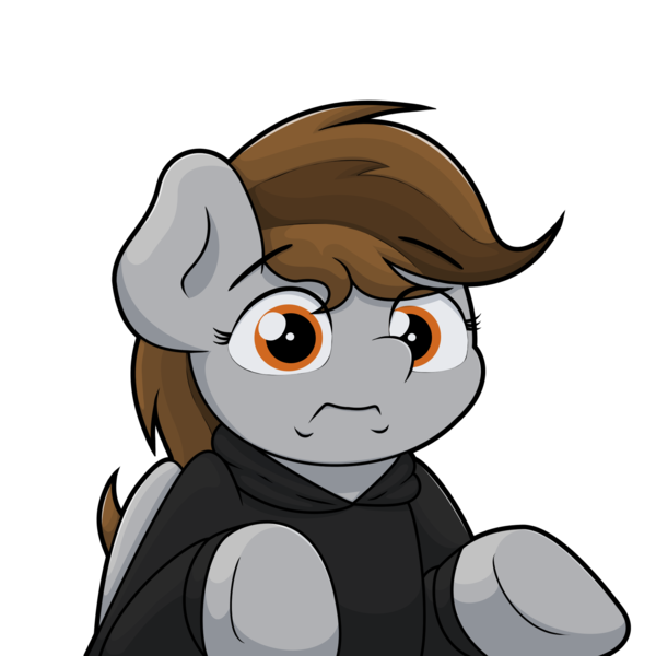 Size: 1920x1920 | Tagged: safe, artist:ljdamz1119, derpibooru import, oc, oc:penny page, pegasus, pony, clothes, guess i'll die, hoodie, meme, ponified meme, simple background, solo, transparent background