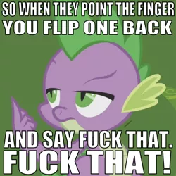 Size: 641x641 | Tagged: 9lives, america (song), caption, cropped, derpibooru import, deuce, dragon, edit, edited screencap, editor:undeadponysoldier, flipping off, hurricane fluttershy, image macro, lyrics, male, middle finger, safe, screencap, solo, song reference, spike, text, unamused, vulgar