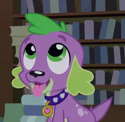 Size: 971x945 | Tagged: safe, derpibooru import, screencap, spike, dog, equestria girls, equestria girls (movie), cropped, cute, male, puppy, solo, spikabetes, spike the dog, spike's dog collar