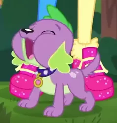 Size: 566x594 | Tagged: safe, derpibooru import, screencap, pinkie pie, spike, spike the regular dog, dog, equestria girls, equestria girls series, wake up!, spoiler:choose your own ending (season 2), spoiler:eqg series (season 2), clothes, cropped, cute, male, paws, shoes, sneakers, solo focus, spikabetes, spike's dog collar, wake up!: pinkie pie
