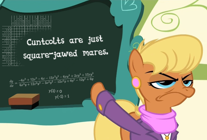 Size: 880x595 | Tagged: suggestive, derpibooru import, ms. harshwhinny, pony, chalkboard, cuntboy, differential equation, equation, exploitable meme, intersex, meme, ms. harshwhinny's professional chalkboard, nonogram, obligatory pony