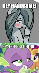 Size: 612x1153 | Tagged: safe, artist:riggyrag, derpibooru import, edit, edited screencap, editor:undeadponysoldier, screencap, marble pie, spike, earth pony, pony, princess spike (episode), beautiful, blushing, caption, crack shipping, female, flirting, handsome, image macro, lidded eyes, male, marblespike, mare, open mouth, shipping, shy, smiling, straight, text