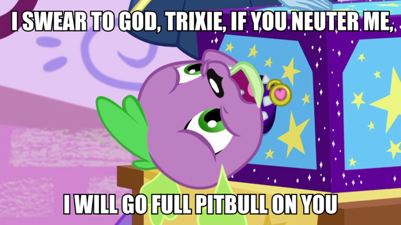 Size: 1200x675 | Tagged: safe, derpibooru import, edit, edited screencap, screencap, spike, spike the regular dog, dog, equestria girls, equestria girls series, street magic with trixie, spoiler:eqg series (season 2), caption, image macro, implied trixie, text