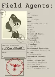 Size: 3080x4320 | Tagged: safe, artist:anonymousdrawfig, derpibooru import, oc, oc:blitzflügel, pegasus, pony, agent, alternative, clothes, female, file, hat, intel, military, nazi, nazipone, ponytail, reichsadler, text, uniform, wehrmacht, world war ii