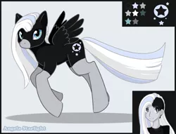 Size: 895x683 | Tagged: safe, artist:rumay-chian, derpibooru import, oc, oc:angela starlight, human, pegasus, blue eyes, female, humanized, palette, pegasus oc, reference sheet, socks (coat marking), wings