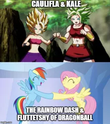 Size: 500x562 | Tagged: safe, derpibooru import, fluttershy, rainbow dash, pony, caulifla, comparison, dragon ball super, kale (dragon ball), super saiyan