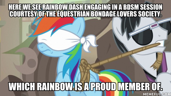 Size: 600x337 | Tagged: safe, derpibooru import, edit, edited screencap, screencap, rainbow dash, withers, pegasus, pony, daring done?, blindfold, bound wings, caption, female, henchmen, image macro, implied bdsm, male, mare, mouth hold, rainbond dash, rope, stallion, sunglasses, text, tied up, wings