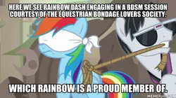 Size: 600x337 | Tagged: safe, derpibooru import, edit, edited screencap, screencap, rainbow dash, withers, pegasus, pony, daring done?, blindfold, bound wings, caption, female, henchmen, image macro, implied bdsm, male, mare, mouth hold, rainbond dash, rope, stallion, sunglasses, text, tied up, wings