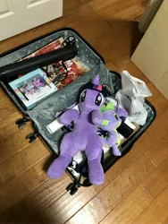 Size: 3024x4032 | Tagged: alicorn, bags, bronycon, bronycon 2019, derpibooru import, safe, spike, twilight sparkle, twilight sparkle (alicorn)