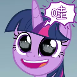 Size: 557x557 | Tagged: safe, derpibooru import, official, twilight sparkle, twilight sparkle (alicorn), alicorn, pony, sparkle's seven, china, chinese text, crown, eye reflection, faic, forever, hard-won helm of the sibling supreme, jewelry, reflection, regalia, solo